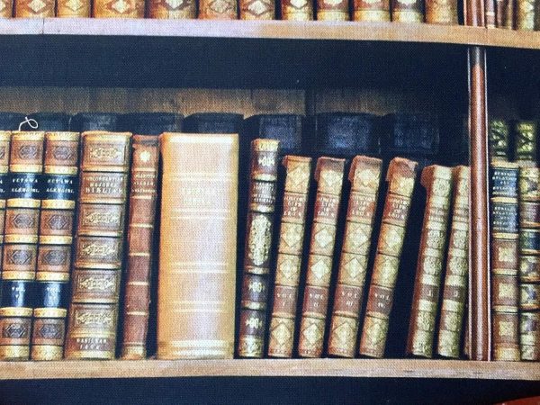 BOOKSHELF BOOK Library Books Fabric Curtain Upholstery Cotton Material / digital print fabric / book shelf effect - 140cm wide - Image 4