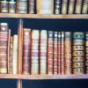 BOOKSHELF BOOK Library Books Fabric Curtain Upholstery Cotton Material / digital print fabric / book shelf effect - 140cm wide - Image 6