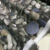 beach-pebbles-designer-curtain-upholstery-cotton-fabric-material-110280cm-wide-beach-pebbles-canvas-594bec543.jpg