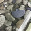 beach-pebbles-designer-curtain-upholstery-cotton-fabric-material-55140cm-wide-ocean-pebbles-print-canvas-594bf37c2.jpg