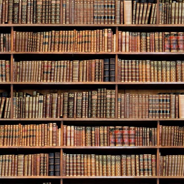 bookshelf-book-fabric-curtain-upholstery-cotton-material-digital-print-fabric-book-shelf-effect-280cm-extra-wide-594be9af2.jpg