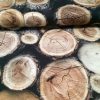 wood-log-stump-upholstery-curtain-cotton-fabric-material-280cm-extra-wide-wooden-logs-print-digital-print-canvas-textile-sold-by-metre-594be9ed2.jpg