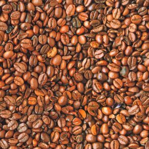 COFFEE BEANS Bean Cafe Cotton Fabric - Curtain Upholstery Craft material - 140cm wide - BROWN