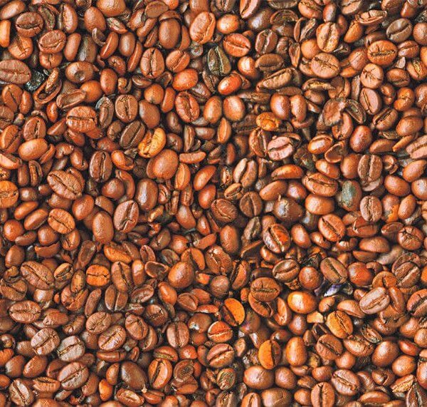 COFFEE BEANS Bean Cafe Cotton Fabric Curtain Upholstery Craft