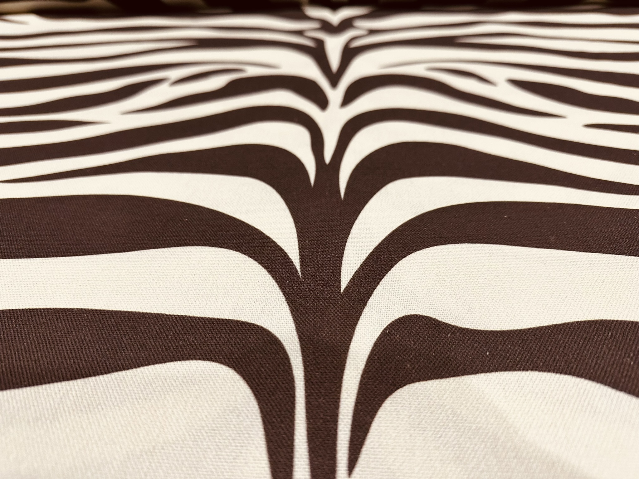 xl zebra brown (2)