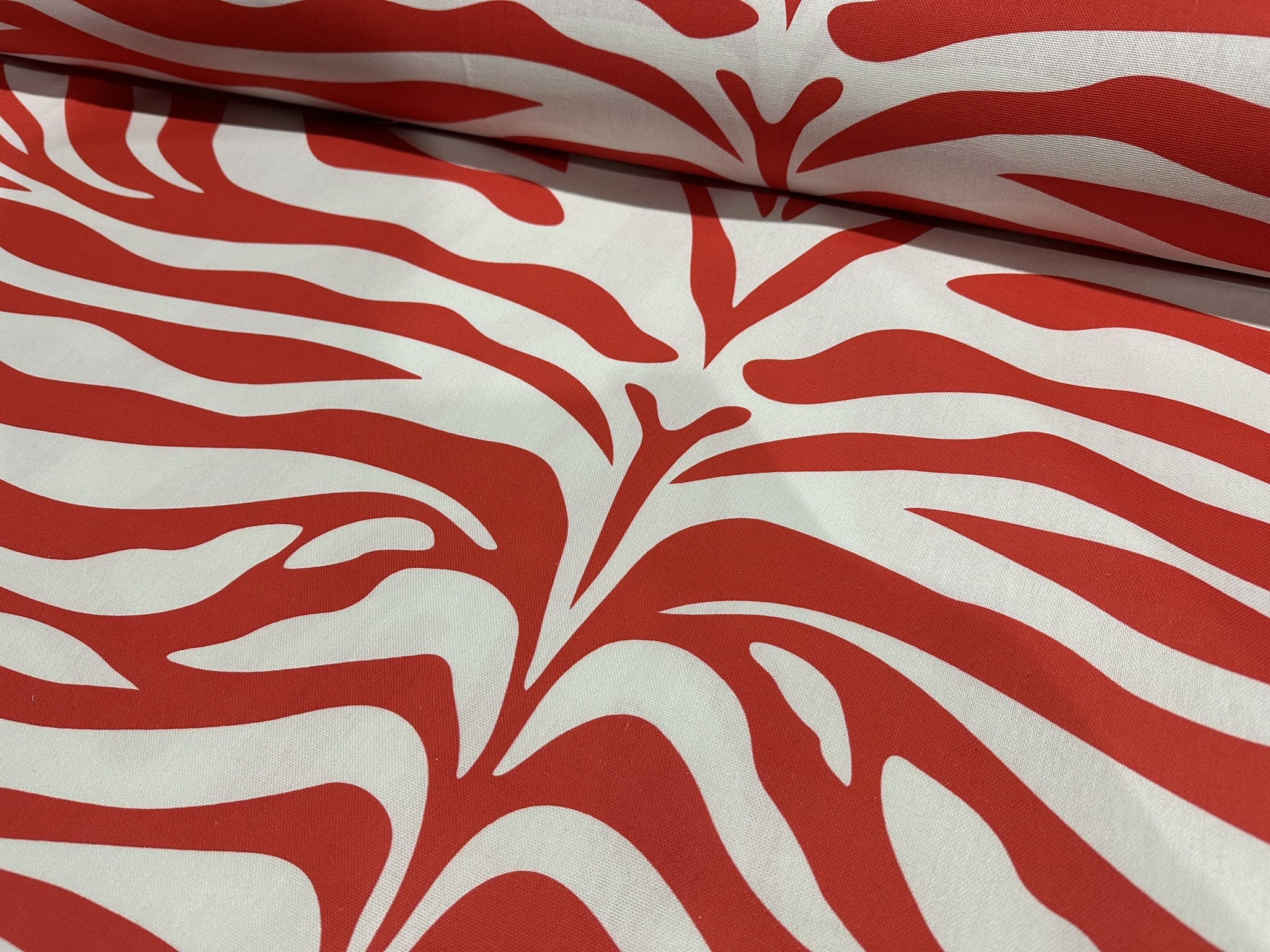 xl zebra red (2)