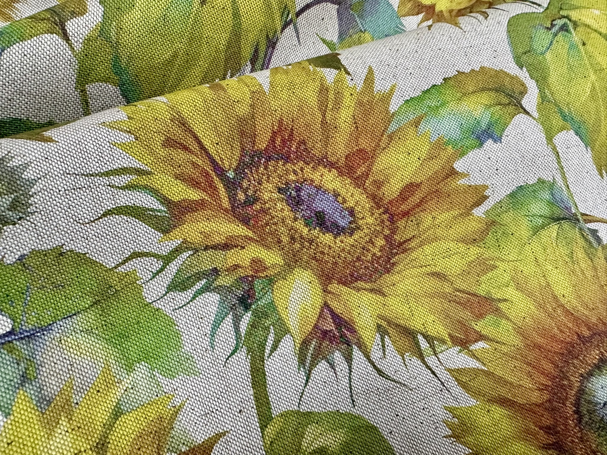 sunflower (13)