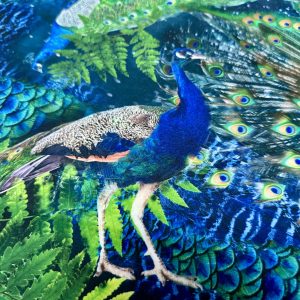 Royal Peacock Velvet Fabric Digital Print Bright Feather Design Upholstery Home Decor Cushion Curtains – 148cm or 58” Wide